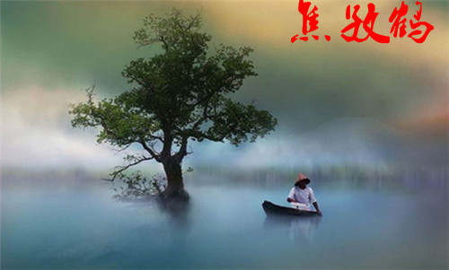 焦孜鹤黄金持续震荡，建议操作