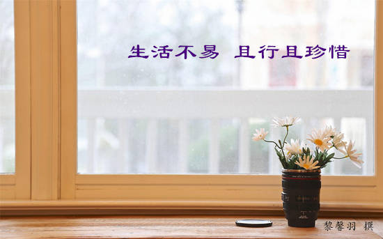黎馨羽：5.15黄金重启震荡格局，避险殆尽千三并不安全？