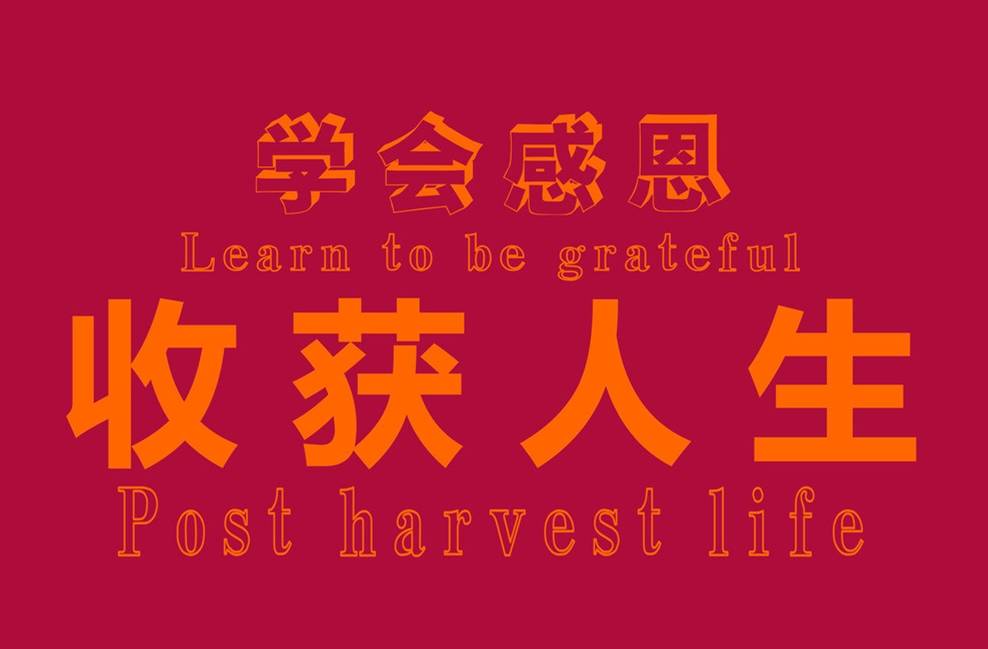 【芸朵品金】：5.22欧美低位震荡，空单盈利48点！