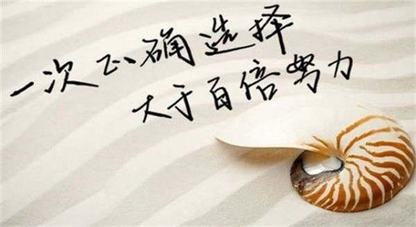 凌佳言：跟不上市场行情、控制不了投资风险，所以你就亏多盈少