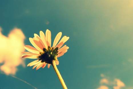 周欣盈：5.7恒指日内行情分析及操作建议