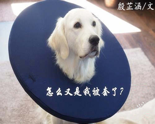 殷芷涵：5.1午评 黄金本周能否扭转乾坤？