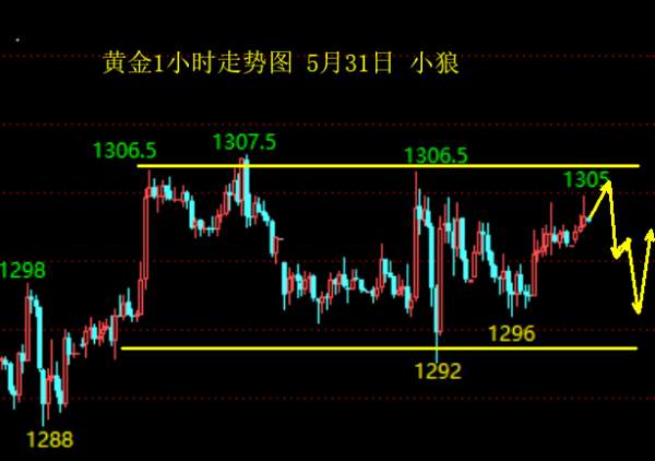 小狼：五月最后一天，值得围观