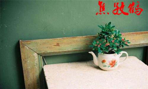 焦孜鹤：5.7黄金震荡反弹回升，还能继续上涨？