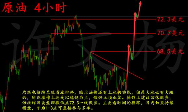 许文杨：6.28 黄金中长线布局逐渐逼近，原油形成双顶压制
