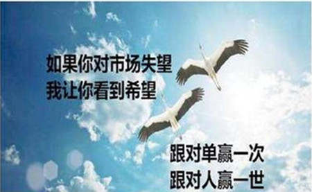 张菀玥：为什么套单？吾愿幸运光环笼罩盈利与我们同在