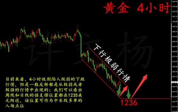许文杨：6.30 不谋全局者不足谋一域，黄金中长线布局来临！