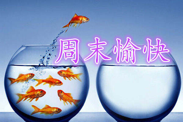 凌佳言：你是否还在这个市场上迷茫着，在这个市场中有几种人是真正赚到钱