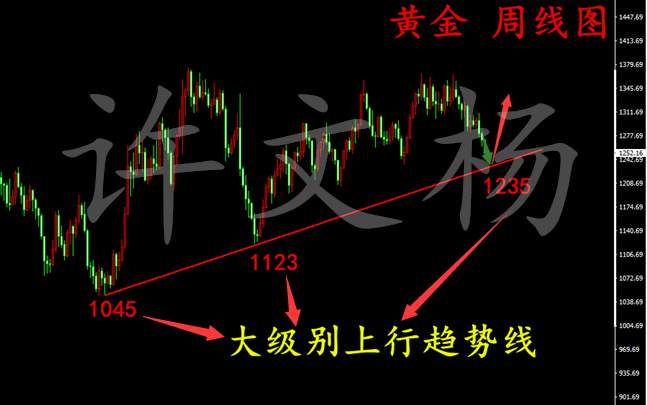 许文杨：6.30 不谋全局者不足谋一域，黄金中长线布局来临！