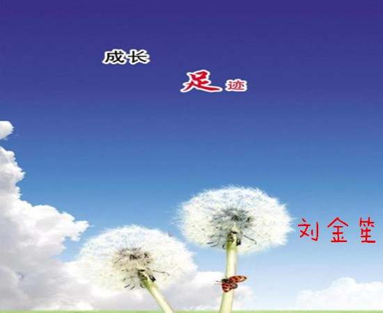 刘金笙：美联储、贸易危机限制多空，震荡基本不变！