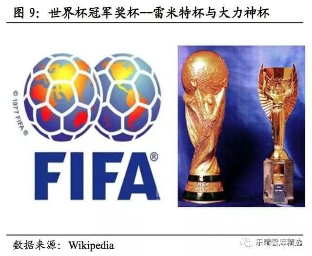 2018年俄罗斯世界杯经济效益分析报告