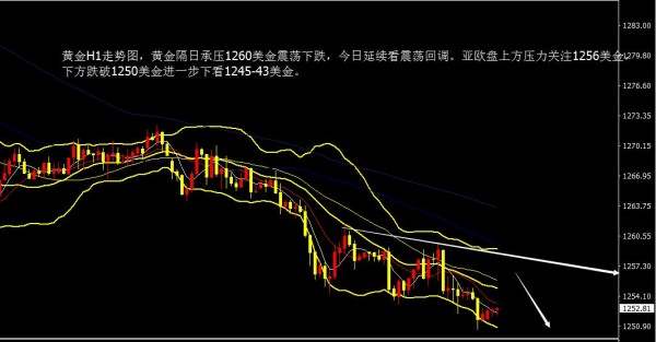刘金笙：6.28黄金早评看好区间震荡