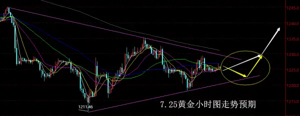 【老黑策略】7.25黄金操盘策略