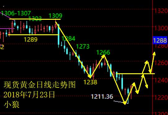 小狼：黄金类比1238的探底，这波先看1243