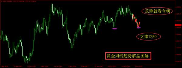 旷少林：决战非农！现场等你迎战 看多黄金第5天