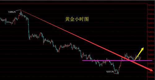 周亦鑫：7.9黄金多头即将崛起？日内黄金分析及建议