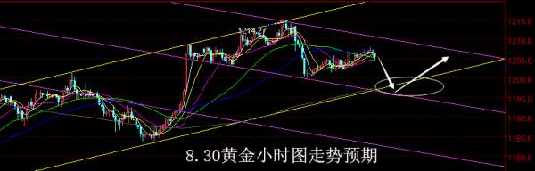 【老黑策略】8.30外汇操盘策略