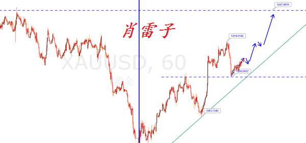 肖雷子：靓丽GDP难掩美元疲态，黄金保持低多思路