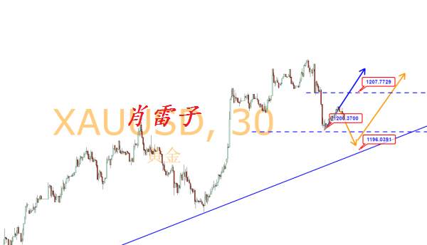 肖雷子：黄金欧盘留意1208得失，莫追空低多为主