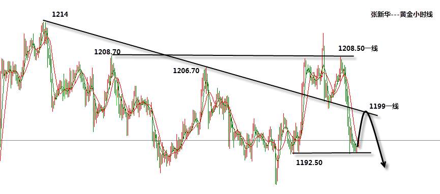 张新华：黄金日内看冲高回落！