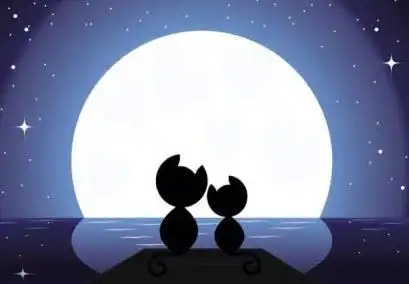 feed image