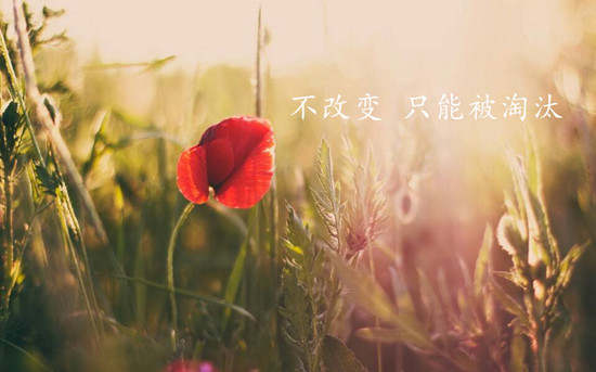 秦梓昕：10.12黄金投资亏损怎么办？无损模式替你保驾护航