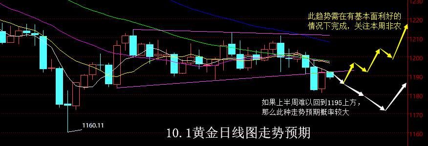 回弹 破位 支撑 测试 黄金 消化