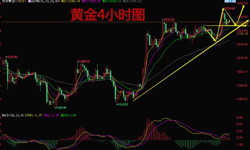 文银豪金：10.24黄金强势冲破上行阻力，空单渐危回落多