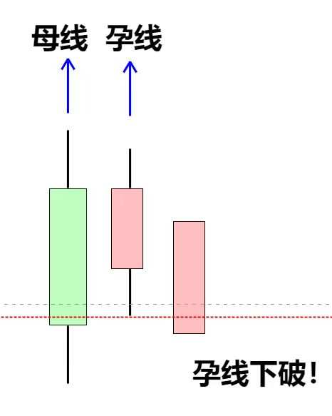 feed-image-2