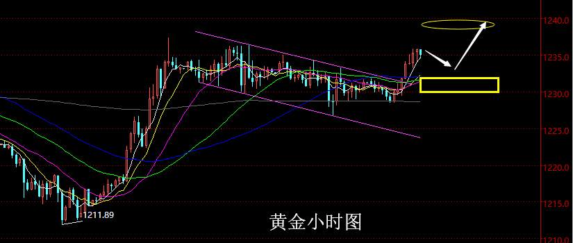 【老黑策略】11.6晚盘外汇、黄金策略