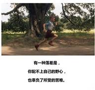 feed-image-0