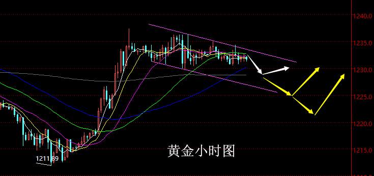 【老黑策略】11.5晚盘外汇、黄金策略