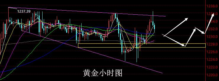【老黑策略】11.7晚盘外汇、黄金策略