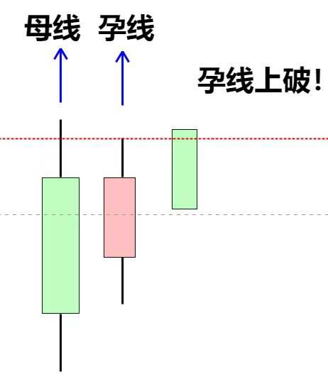 feed-image-1