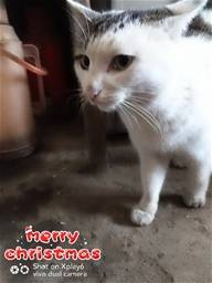 feed image