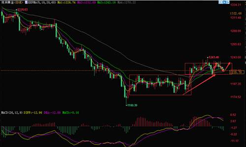 黄金 交易 震荡 趋势 周线 收低