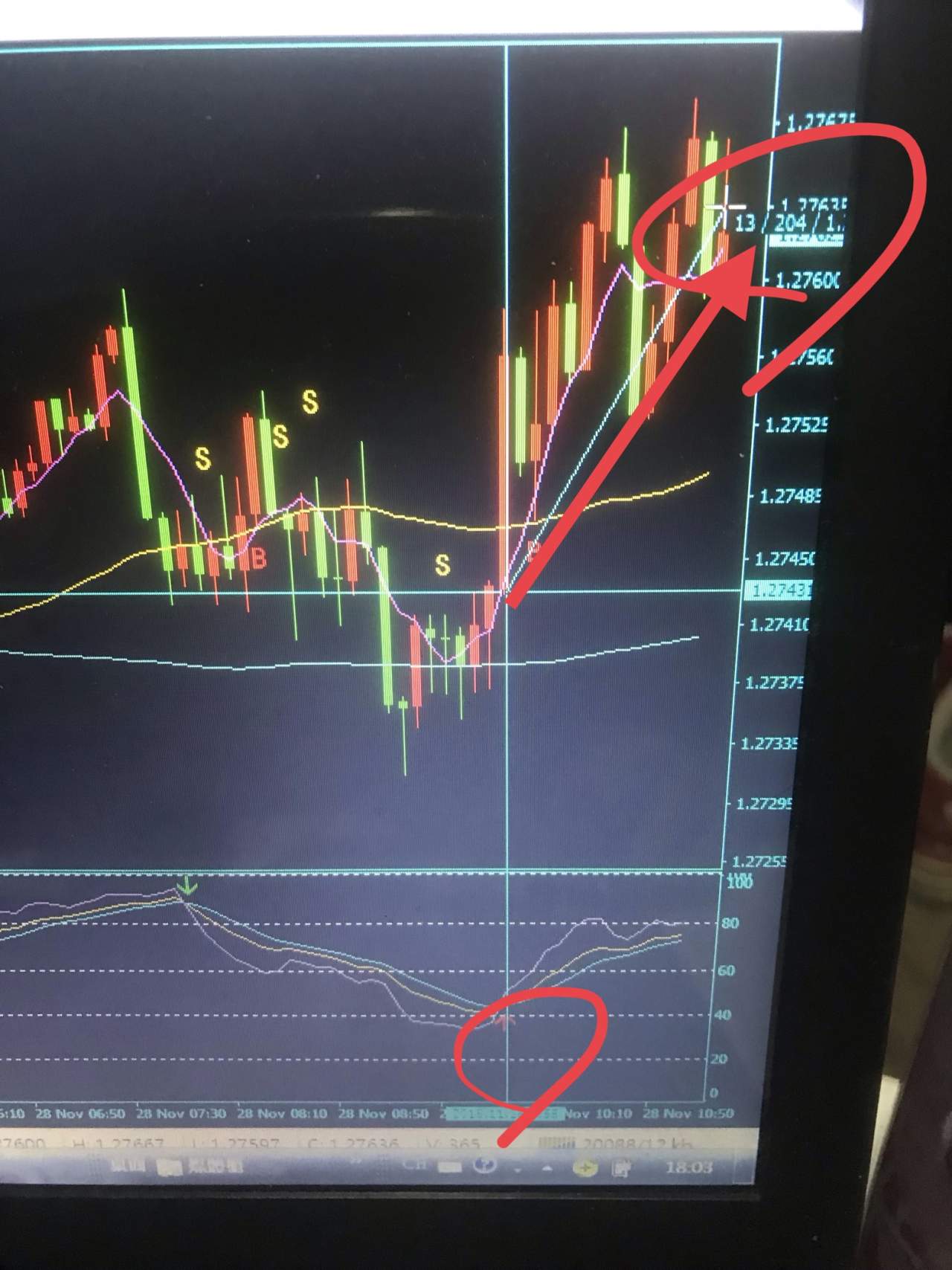 feed-image-1