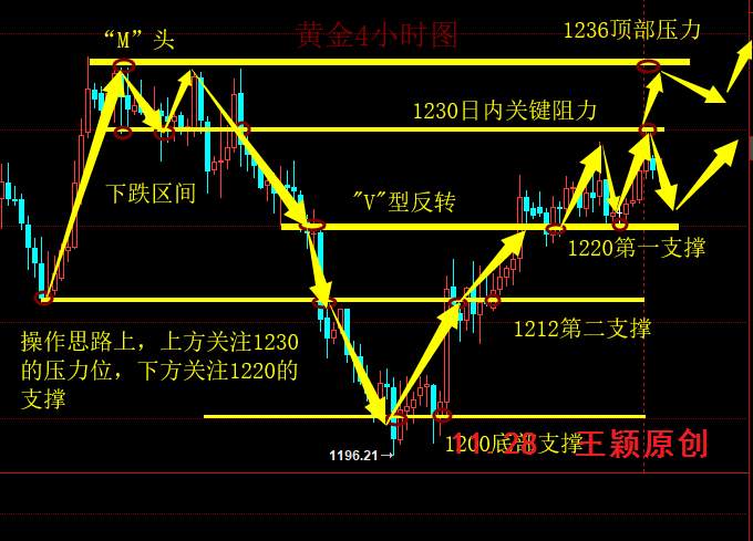 feed-image-1