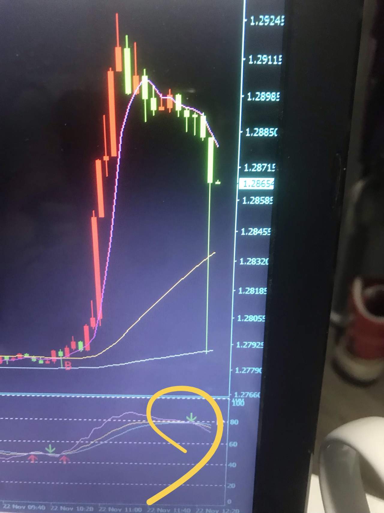 feed-image-1