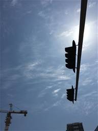 feed image