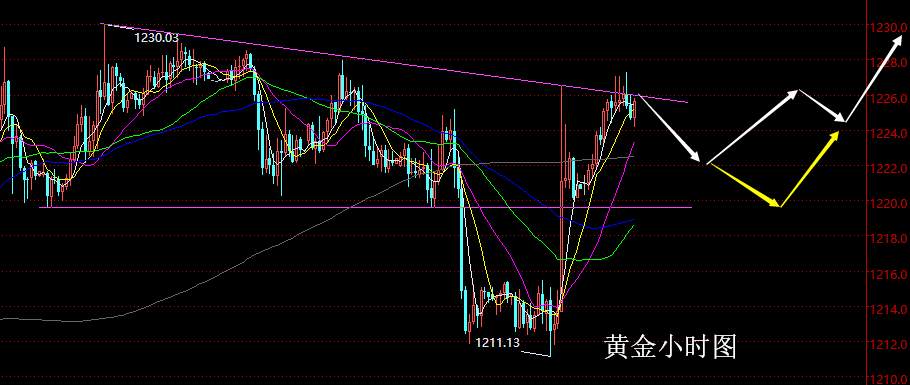 【老黑策略】11.29晚盘外汇、黄金策略