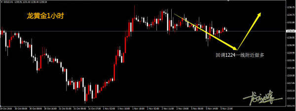 龙应峰：11.6黄金今日上演美国中期选举，重点关注