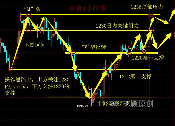 feed-image-1