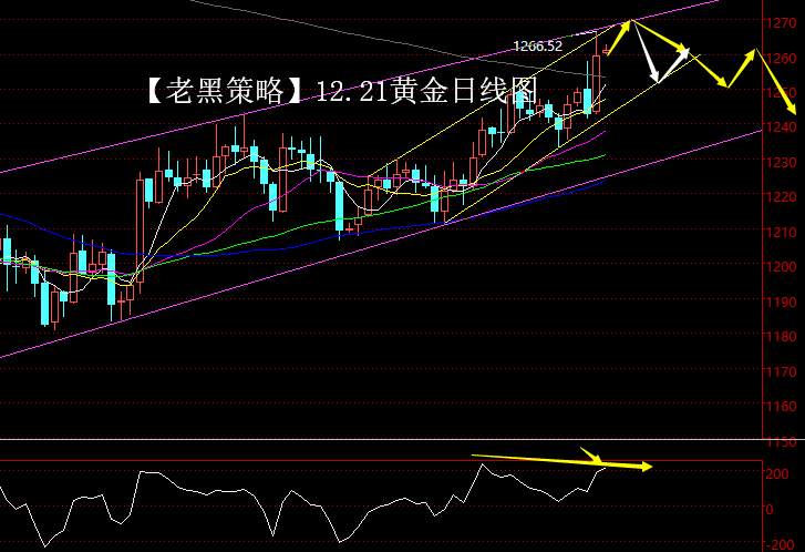 【老黑策略】12.21黄金操盘策略