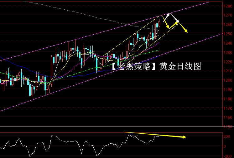 【老黑策略】12.24晚盘外汇、黄金策略