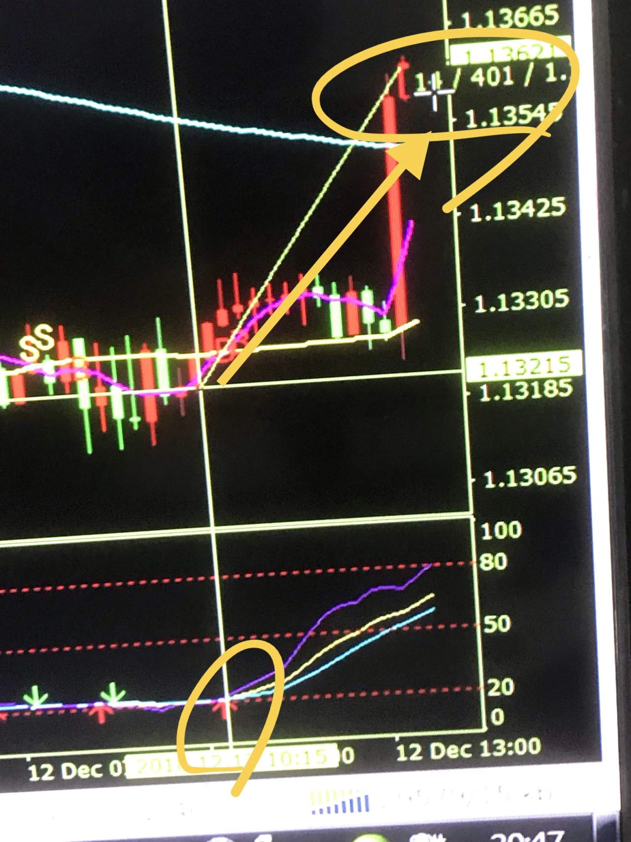 feed-image-1