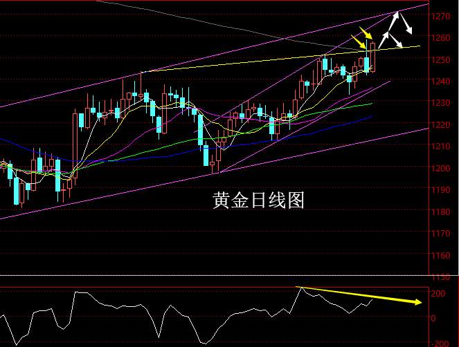 【老黑策略】12.20晚盘外汇、黄金策略