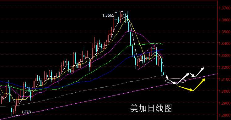老黑策略：1.31外汇分析策略