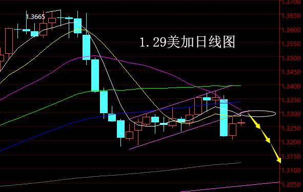 老黑策略：1.29外汇分析策略