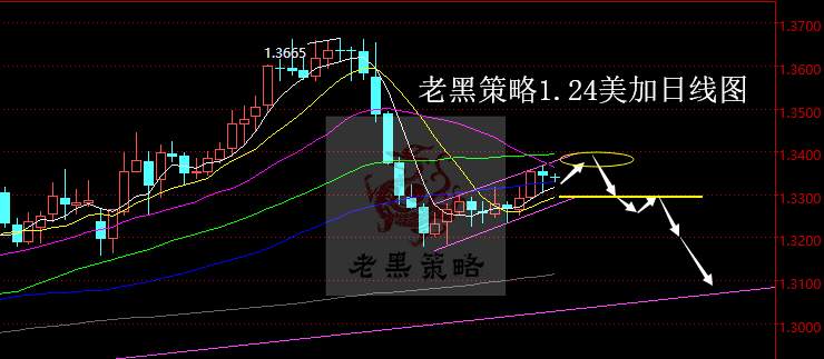 老黑策略：1.24外汇分析策略